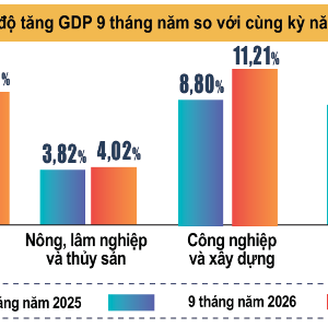 Nguồn: Cục Thống kê, Bộ Tài chính.