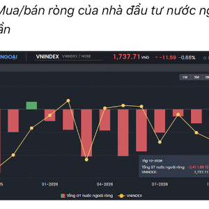 VnEconomy