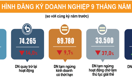 9 tháng năm 2026: Gần 224.000 doanh nghiệp gia nhập thị trường