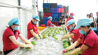 Vietnam’s agro-forestry-fishery exports reach $56.3 bln in nine months