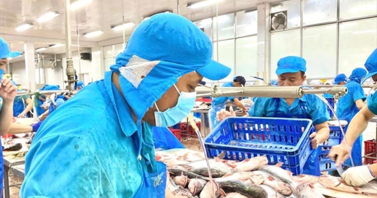 VASEP kiến nghị tháo gỡ loạt vướng mắc thuế cho doanh...