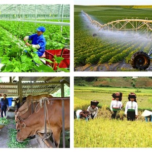 Sắp tới sẽ thay đối tiêu chí xác định hộ gia đình làm nông nghiệp, lâm nghiệp, ngư nghiệp và diêm nghiệp có mức sống trung bình giai đoạn 2027 - 2030. Ảnh minh họa: VGP.