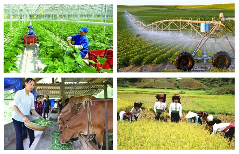 Sắp tới sẽ thay đối tiêu chí xác định hộ gia đình làm nông nghiệp, lâm nghiệp, ngư nghiệp và diêm nghiệp có mức sống trung bình giai đoạn 2027 - 2030. Ảnh minh họa: VGP.