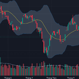 VN-Index chững đà giảm quanh vùng hỗ trợ ngắn hạn.