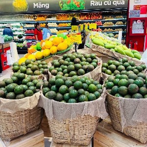 Ảnh minh họa: GO Việt Nam