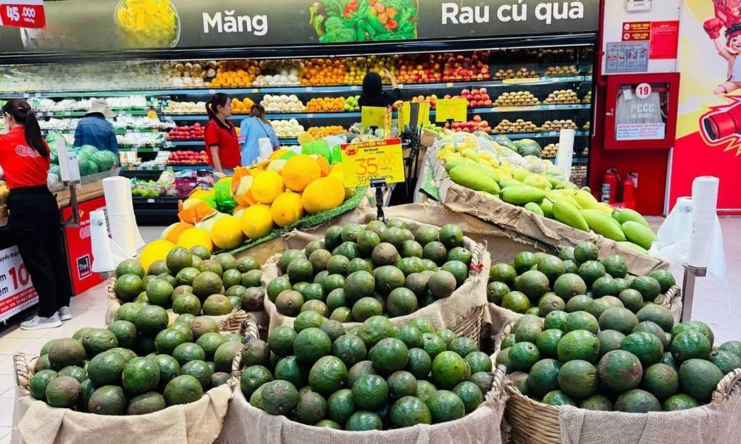 Ảnh minh họa: GO Việt Nam
