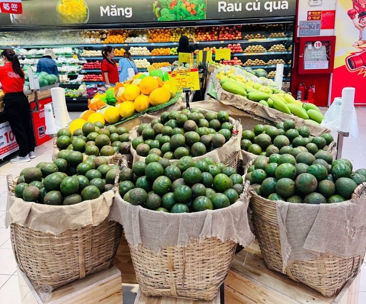 Ảnh minh họa: GO Việt Nam