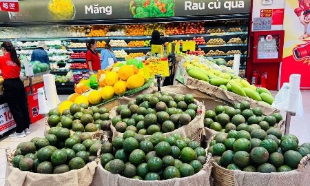Ảnh minh họa: GO Việt Nam