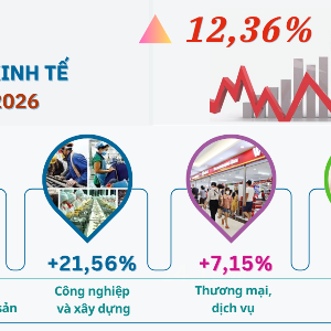 Cơ cấu kinh tế Hà Tĩnh tiếp tục chuyển dịch theo hướng công nghiệp - dịch vụ, trong đó công nghiệp giữ vai trò động lực tăng trưởng chính. Ảnh: UBND tỉnh Hà Tĩnh