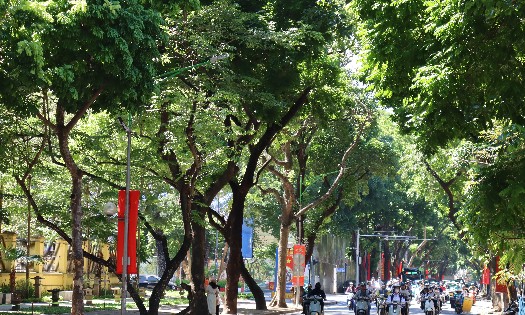 Hà Nội đang bước vào những ngay thu đẹp nhất trong năm. Ảnh: Song Hoàng.