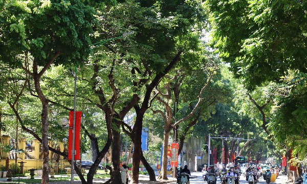 Phóng sự ảnh: Khách quốc tế “đổ bộ” đón mùa đẹp nhất trong năm của Hà Nội