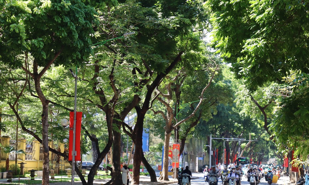 Hà Nội đang bước vào những ngay thu đẹp nhất trong năm. Ảnh: Song Hoàng.