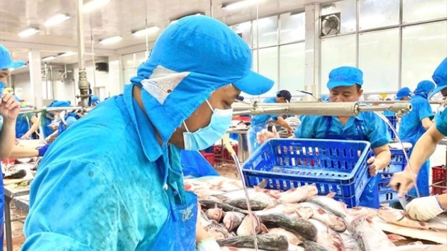 VASEP proposes tax relief to support Vietnamese seafood exporters