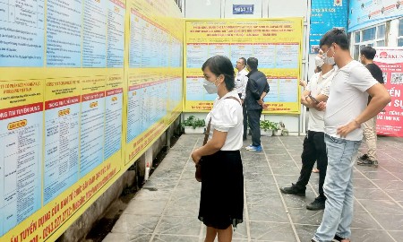 Lao động trẻ tìm kiếm cơ hội việc làm. Ảnh: Thu Hằng.