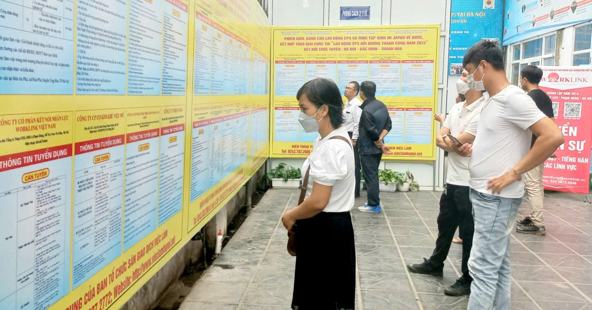 Khoảng trống sau con số 1,6 triệu thanh niên không việc...