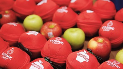 Cultivating agricultural cooperation between Vietnam and the US
