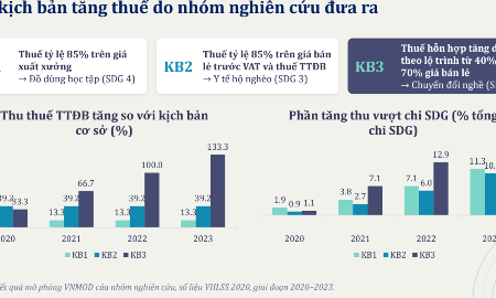 Nguồn: Viện Nghiên cứu Chính sách và Chiến lược.