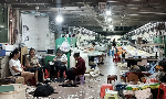 Những chính sách thúc đẩy