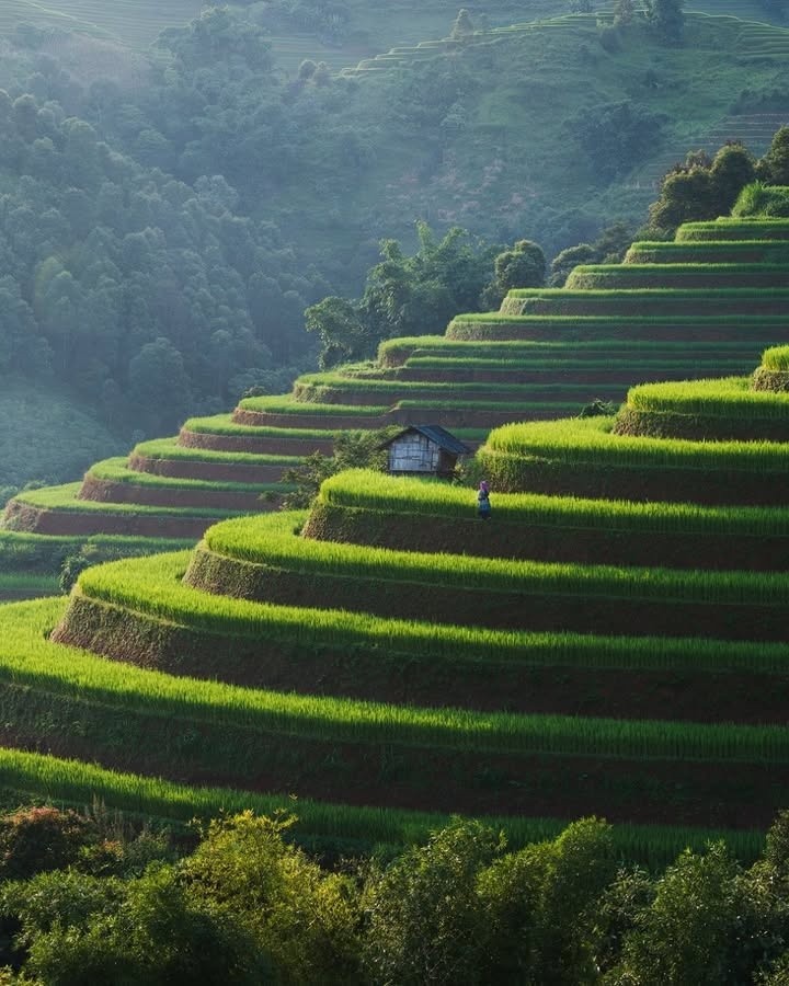 Ruộng bậc thang được xác định là “sợi chỉ đỏ” về cảnh quan và câu chuyện. Ảnh: Garrya Mù Cang Chải