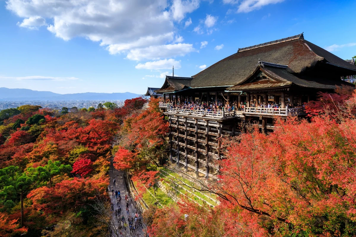 Nhật Bản có khoảng 700 địa điểm, trải dài từ Hokkaido đến Kagoshima để ngắm mùa thu. Ảnh: Kenji Kyoto