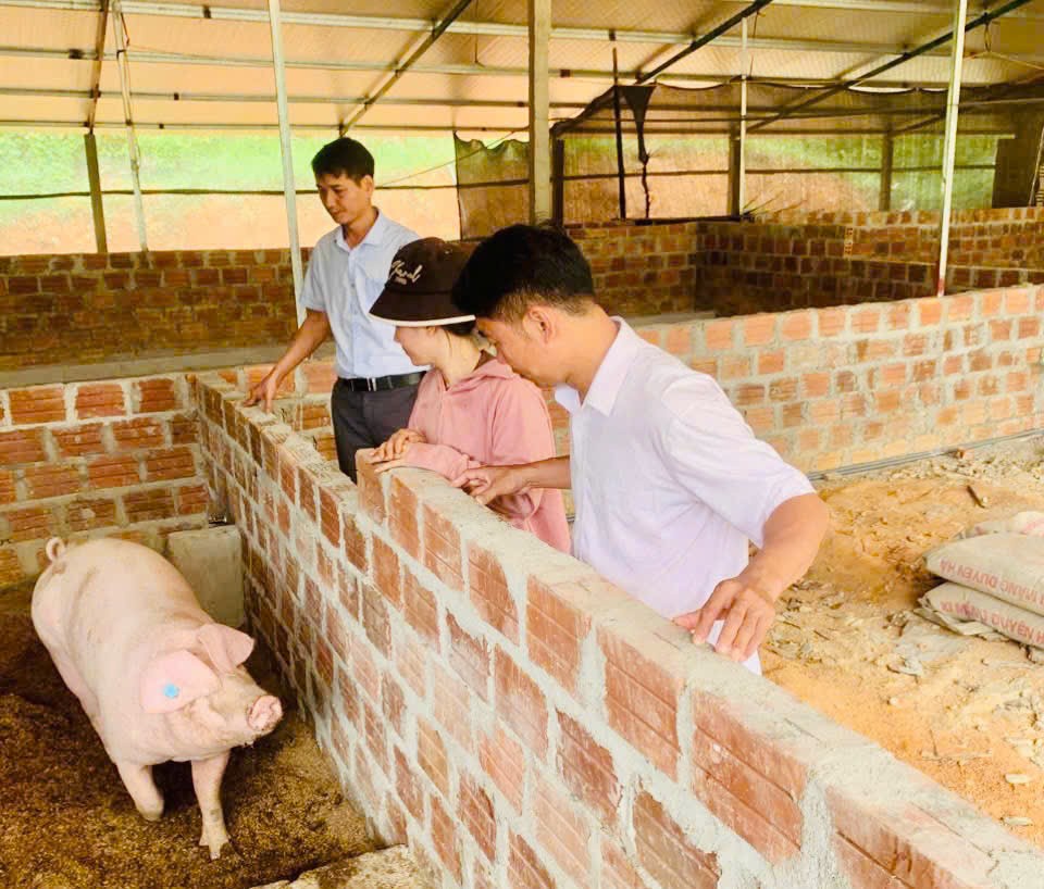 Mô hình chuồng trại chăn nuôi hữu cơ của gia đình ông Phạm Quang Hòa. Ảnh: Anh