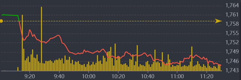 Diễn biến VN-Index sáng nay.