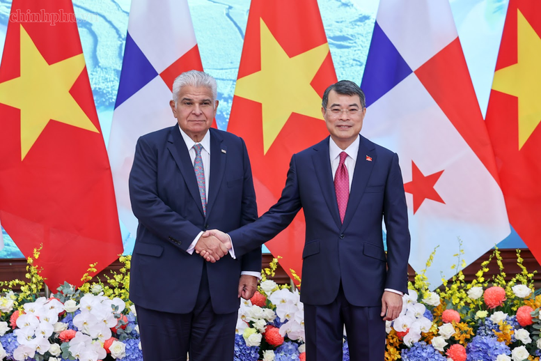 Thủ tướng Chính phủ Lê Minh Hưng và Tổng thống nước Cộng hòa Panama José Raúl Mulino Quintero - Ảnh: chinhphu.vn/Nhật Bắc