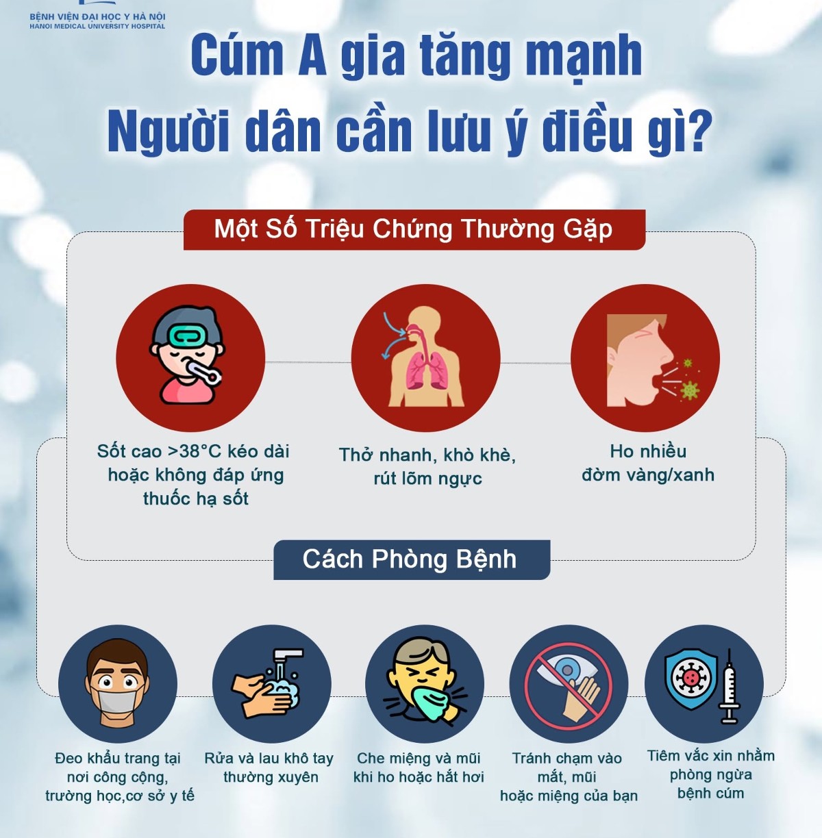 Nguồn: Bệnh viện Đại học Y Hà Nội