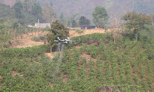 UAV trial demonstration in Muong Ang Commune, Dien Bien Province. (Photo: Nhat Phuong)