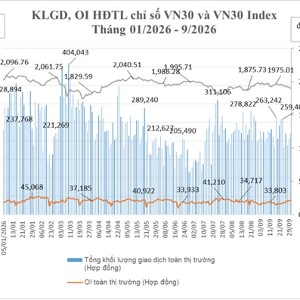 Tổng hợp khối lượng giao dịch, OI hợp đồng tương lai chỉ số VN30 và VN30 Index.