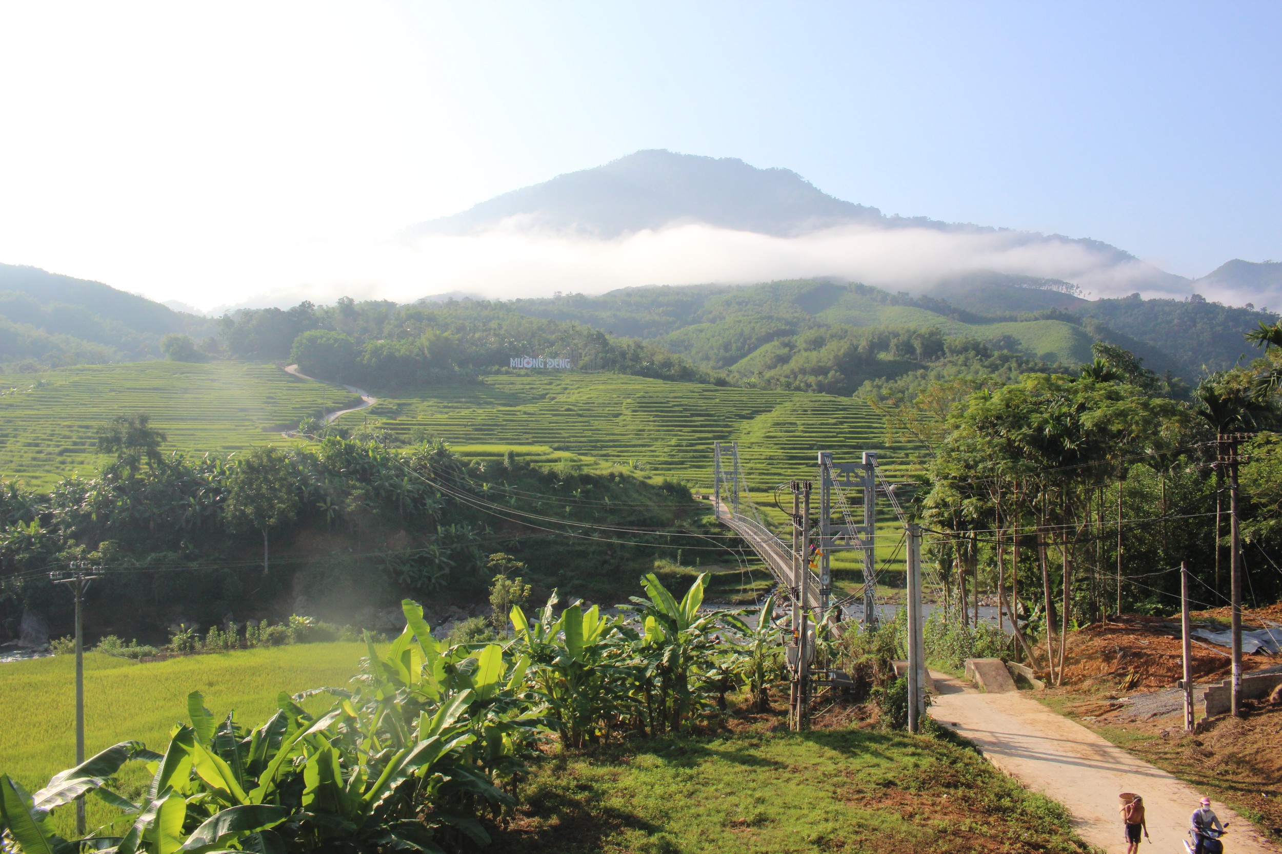 Một cánh đồng lúa bậc thang ở Yên Khương. Ảnh: Chu Khôi.