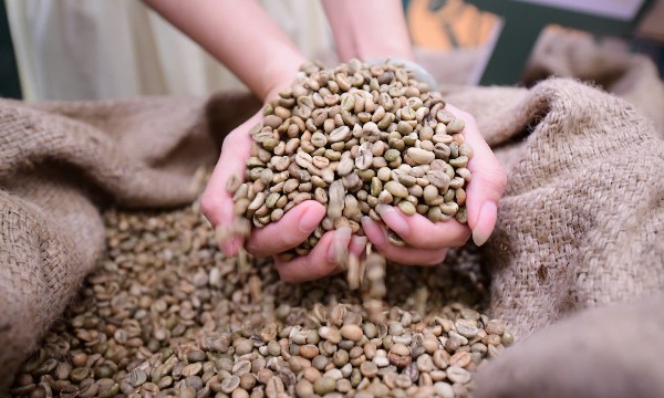 Robusta Việt cần thoát vai “làm nền”, khẳng định thương hiệu trên thị trường quốc tế