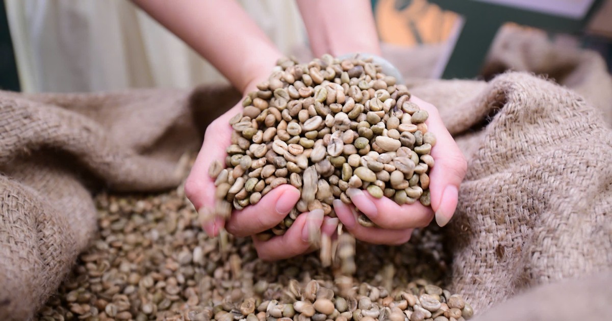 Robusta Việt cần thoát vai “làm nền”, khẳng định thương hiệu trên thị trường quốc tế