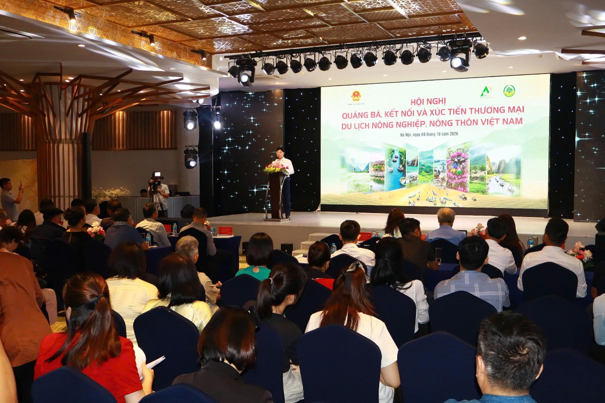 Quang cảnh hội nghị. Ảnh: Ban tổ chức.