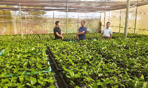 Cán bộ, hội viên Nông dân xã Chư Sê trao đổi kinh nghiệm ươm chanh dây với anh Bùi Ngọc Thanh tại nhà màng. Ảnh: Hoàng Viên