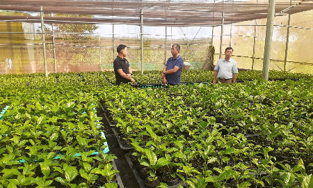 Nông dân Chư Sê ứng dụng công nghệ cao, nâng giá trị nông sản