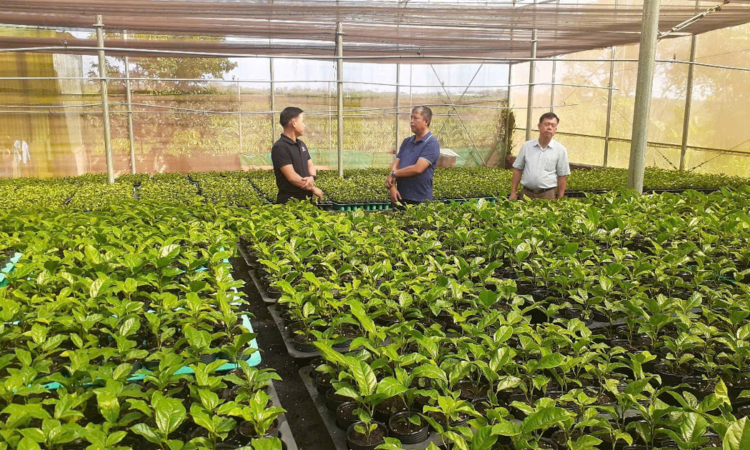 Cán bộ, hội viên Nông dân xã Chư Sê trao đổi kinh nghiệm ươm chanh dây với anh Bùi Ngọc Thanh tại nhà màng. Ảnh: Hoàng Viên