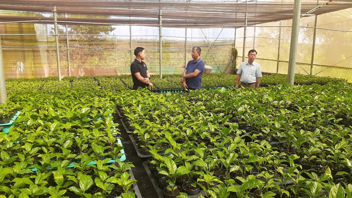 Cán bộ, hội viên Nông dân xã Chư Sê trao đổi kinh nghiệm ươm chanh dây với anh Bùi Ngọc Thanh tại nhà màng. Ảnh: Hoàng Viên