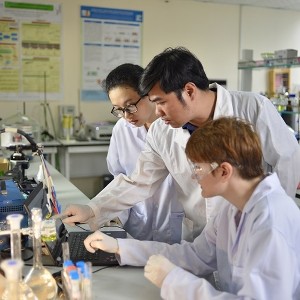Bộ Giáo dục và Đào tạo kiến nghị xây dựng nghị định với các chính sách khuyến khích, hỗ trợ kèm theo nguyên tắc, tiêu chí, điều kiện xác định đối tượng được hưởng. Ảnh minh họa: VGP.