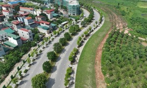 Không gian lưu trú “All-in-One” góp phần tăng khả năng cạnh tranh thu hút FDI thế hệ mới. Ảnh: Hạnh Vân