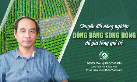 Chuyển đổi nông nghiệp Đồng bằng sông Hồng để gia tăng giá trị