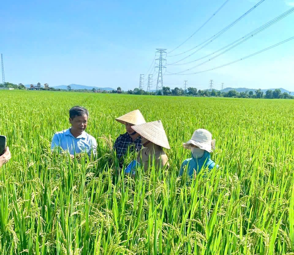 Từ những mô hình sản xuất thực tế, ông Hoàng Đình Quế quay video chia sẻ kinh nghiệm trồng trọt với nông dân. Ảnh: Nguyễn Thuấn