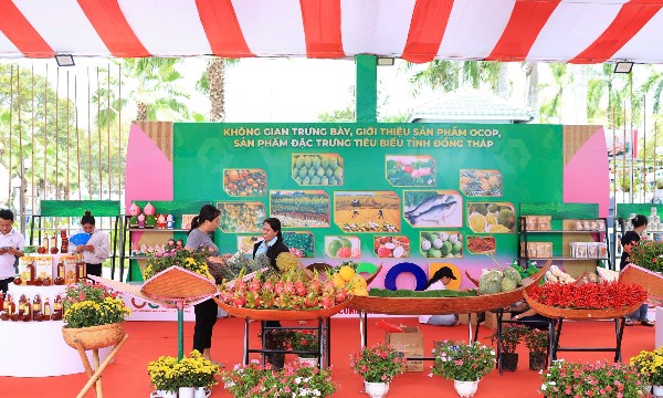 VPBank Đất Sen Hồng Music Marathon: Thúc đẩy kinh tế địa phương