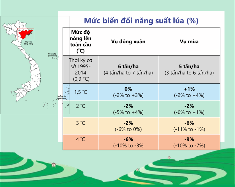 Tác động của biến đổi khí hậu đến năng suất lúa đồng bằng sông Hồng (Nguồn: kịch bản biến đổi khí hậu cho Việt Nam phiên bản 2025)