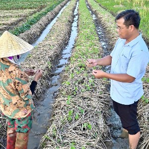 Ông Hoàng Đình Quế, Chủ tịch Hội Nông dân xã Thiệu Hóa, tỉnh Thanh Hóa, đưa kiến thức sản xuất đến gần hơn với hội viên thông qua các video hướng dẫn kỹ thuật. Ảnh: Nguyễn Thuấn