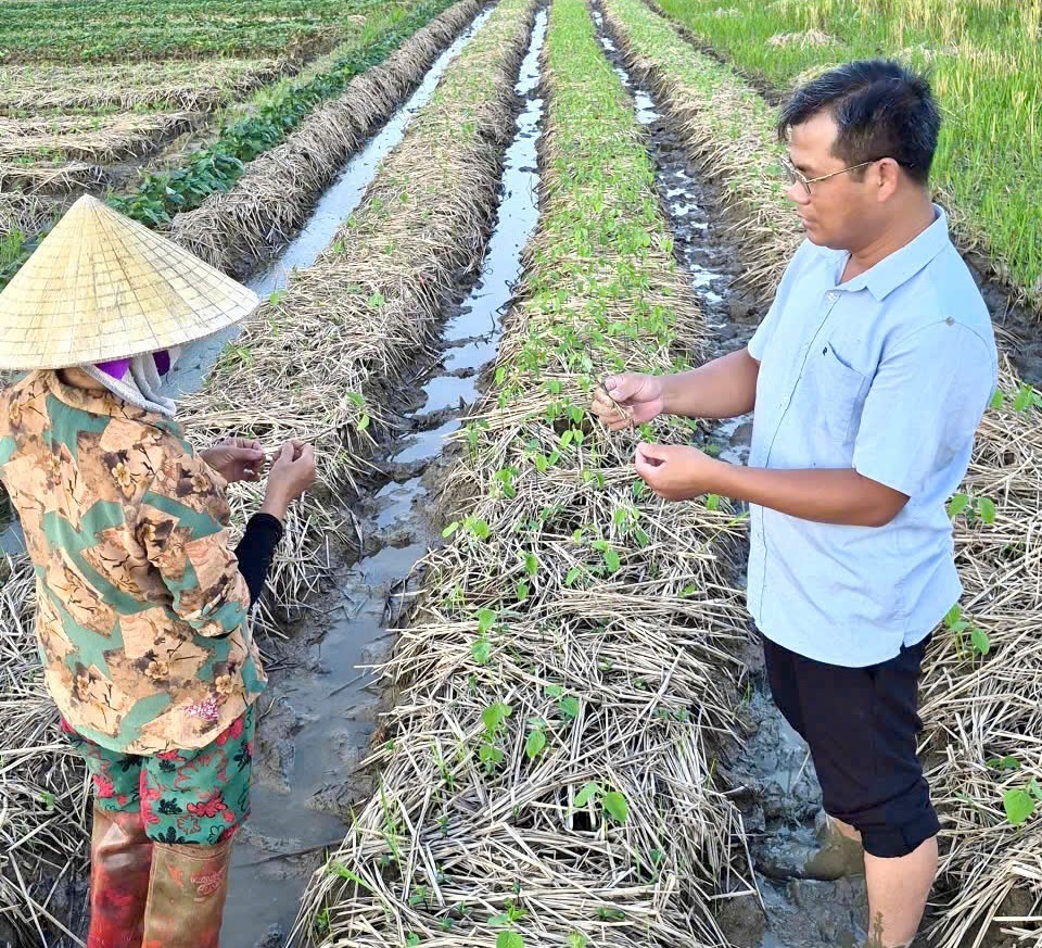 Ông Hoàng Đình Quế, Chủ tịch Hội Nông dân xã Thiệu Hóa, tỉnh Thanh Hóa, đưa kiến thức sản xuất đến gần hơn với hội viên thông qua các video hướng dẫn kỹ thuật. Ảnh: Nguyễn Thuấn