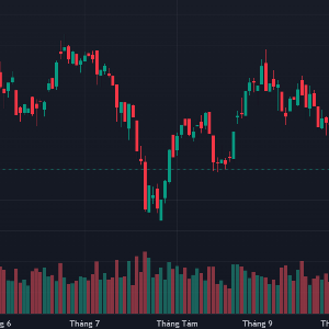 VN-Index đang dừng