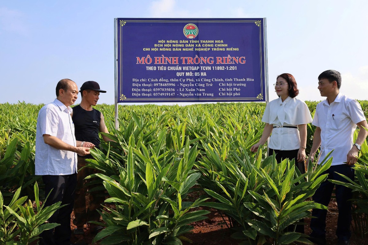 Ông Vũ Tiến Dũng khảo sát mô hình sản xuất tại địa phương, qua đó nắm bắt nhu cầu hỗ trợ kỹ thuật và ứng dụng công nghệ của hội viên nông dân.