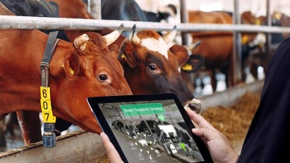 Vietstock 2026 to showcase livestock technologies from 40 countries and territories