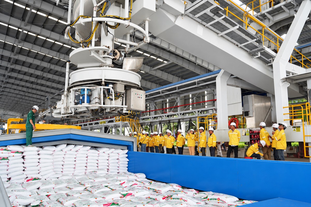 Đoàn nông dân tận mắt chứng kiến sản phẩm Phân Bón Cà Mau tại cảng xuất hàng.
